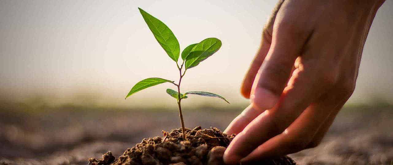 FincraftTM Core Microfinance Solution