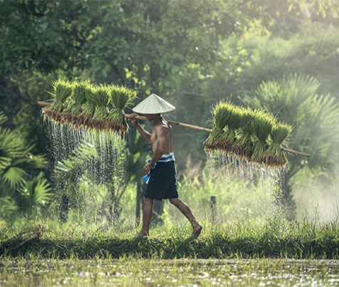 The Social Impact Of Microfinance (MFIs) In Myanmar